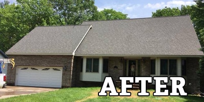 The Roof Cleaner asphalt after treatment