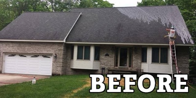 The Roof Cleaner asphalt before treatment